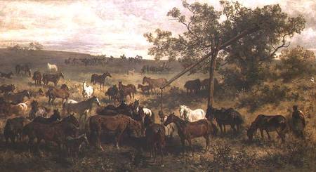 Horses at a Trough à Franz Adam