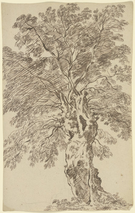 Old tree à Franz Innocenz Josef Kobell