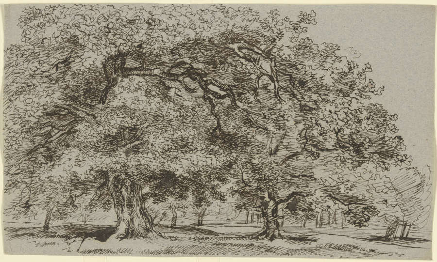 Trees on a meadow à Franz Innocenz Josef Kobell