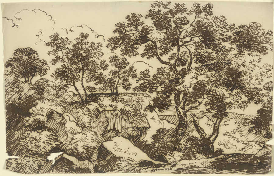 Bäume in einer felsigen Landschaft à Franz Innocenz Josef Kobell