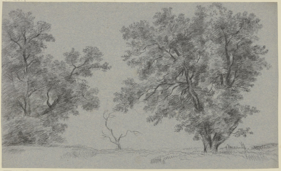 Tree-covered meadow à Franz Innocenz Josef Kobell