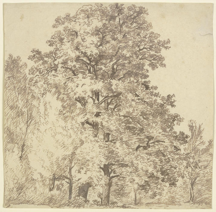 Group of trees à Franz Innocenz Josef Kobell