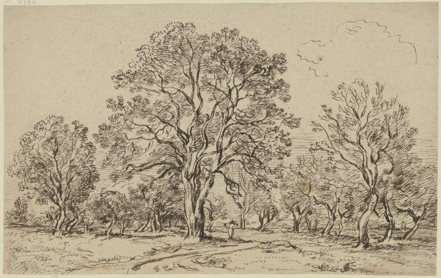 Group of tall trees à Franz Innocenz Josef Kobell