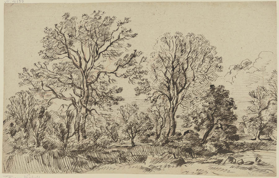 High leafless trees à Franz Innocenz Josef Kobell