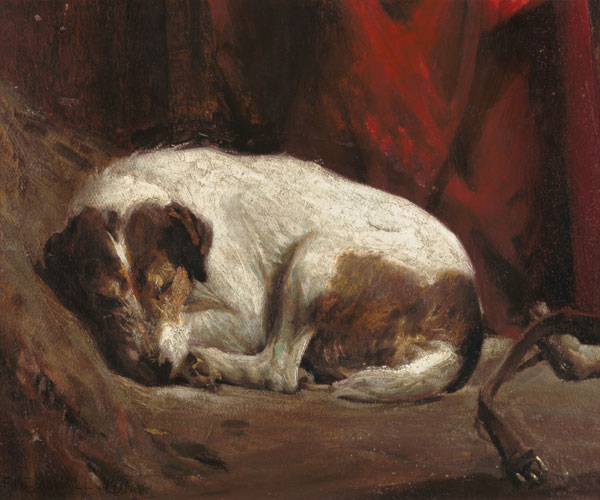 A Sleeping Fox Terrier, 1911 (board) à Fred Hall