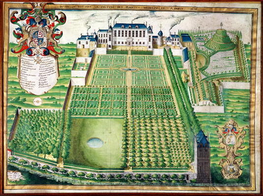 The King's Medicinal Plant Garden, 1636 (engraving on vellum) à Frederic Scalberge