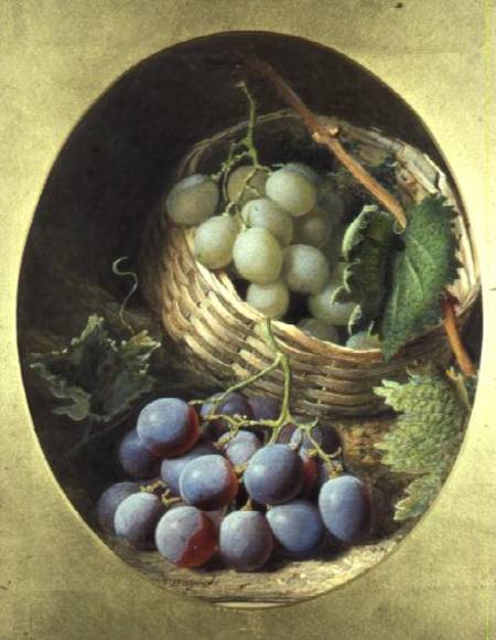 Red and White Grapes à Frederick T. Bayes