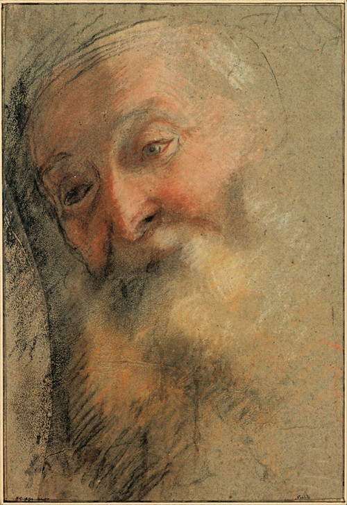 Head of an Old Bearded Man à Frederico (Fiori) Barocci