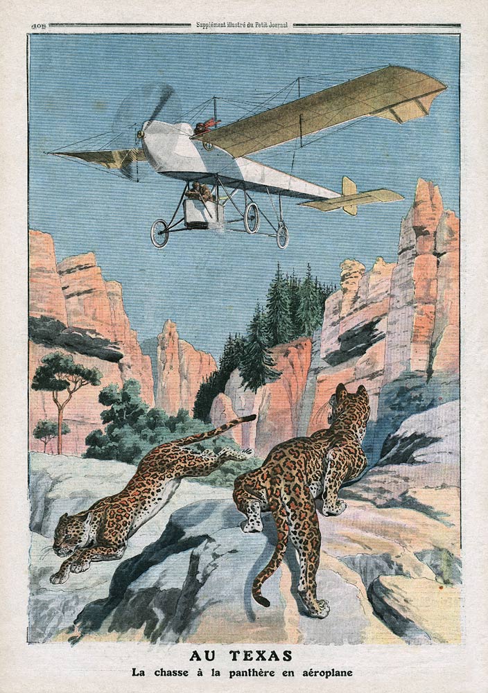 Hunting panthers from an airplane in Texas, illustration from ''Le Petit Journal'', supplement illus à École française