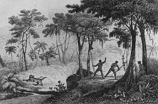 Jaguar Hunt, from ''Bresil, Columbie et Guyanes'' Ferdinand Denis and Cesar Famin 1837 (engraving) à École française