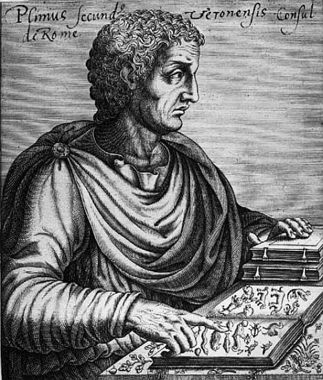 Pliny the Elder (23-79 AD) à École française