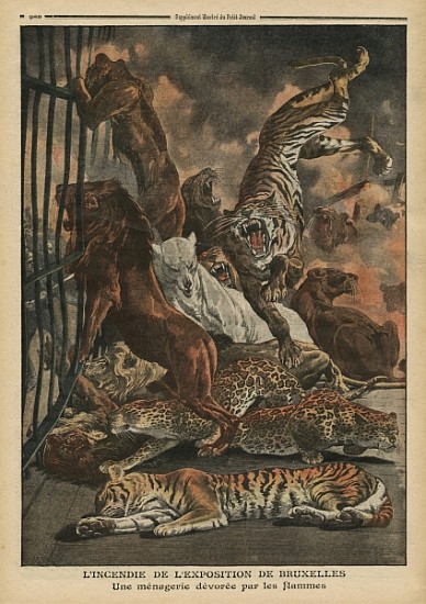 The fire at the Universal Exhibition of Brussels, a menagerie being consumed the flames, illustratio à École française