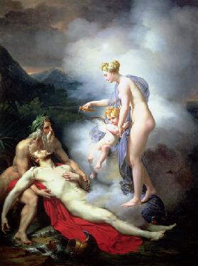 Venus heals Adonis