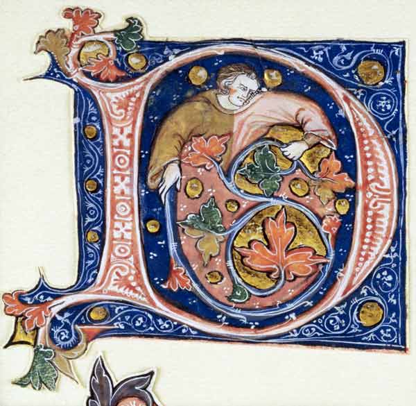Historiated initial 'D' depicting a man holding a vine (vellum) à Ecole Française, (14ème siècle)