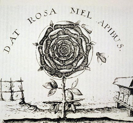 Rosicrucian Allegory, copy of an engraving by Johann Theodore de Bry (c.1598), used in a 'History of à Ecole Française, (16ème siècle) (d'après)