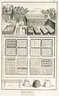 A vegetable garden, from 'The Encyclopedia of Science, Art and Engineering' by Denis Diderot (1713-8 à Ecole Française, (18ème siècle)