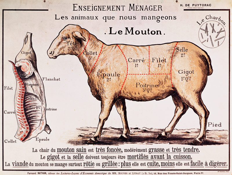 Mutton: diagram depicting the different cuts of meat (colour litho) à Ecole Française, (20ème siècle)