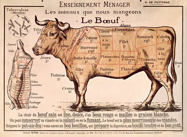 Beef: diagram depicting the different cuts of meat (colour litho) à Ecole Française, (20ème siècle)