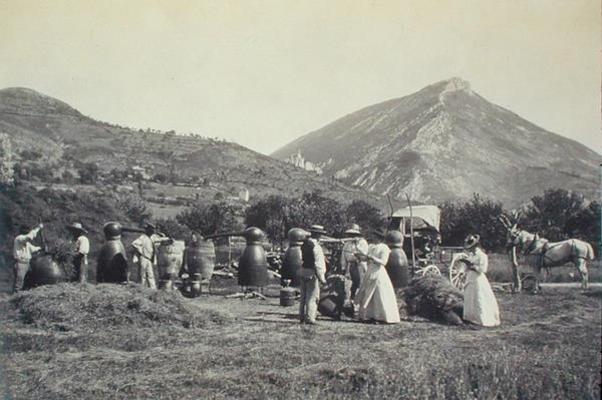 Distilling Lavender, from 'Industrie des Parfums a Grasse', c.1900 (photo) à Ecole Française, (20ème siècle)