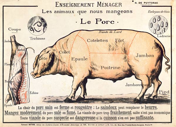 Cuts of Pork, illustration d'un manuel français de la science domestique par H. de Puytorac (couleur à Ecole Française, (20ème siècle)