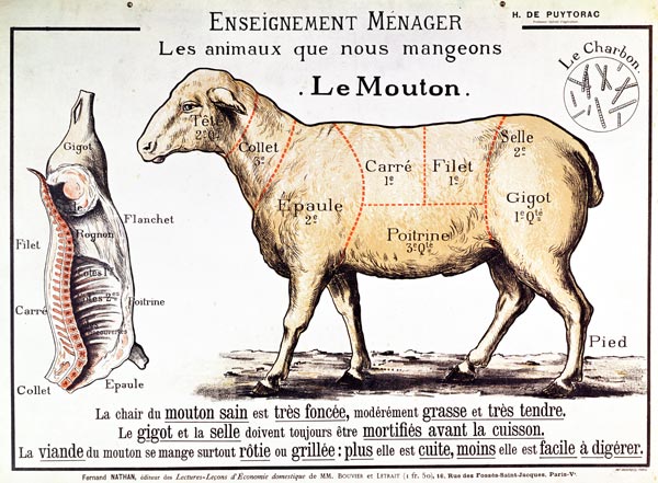 Mutton: diagramme représentant les différentes coupes de viande (couleur litho) à Ecole Française, (20ème siècle)