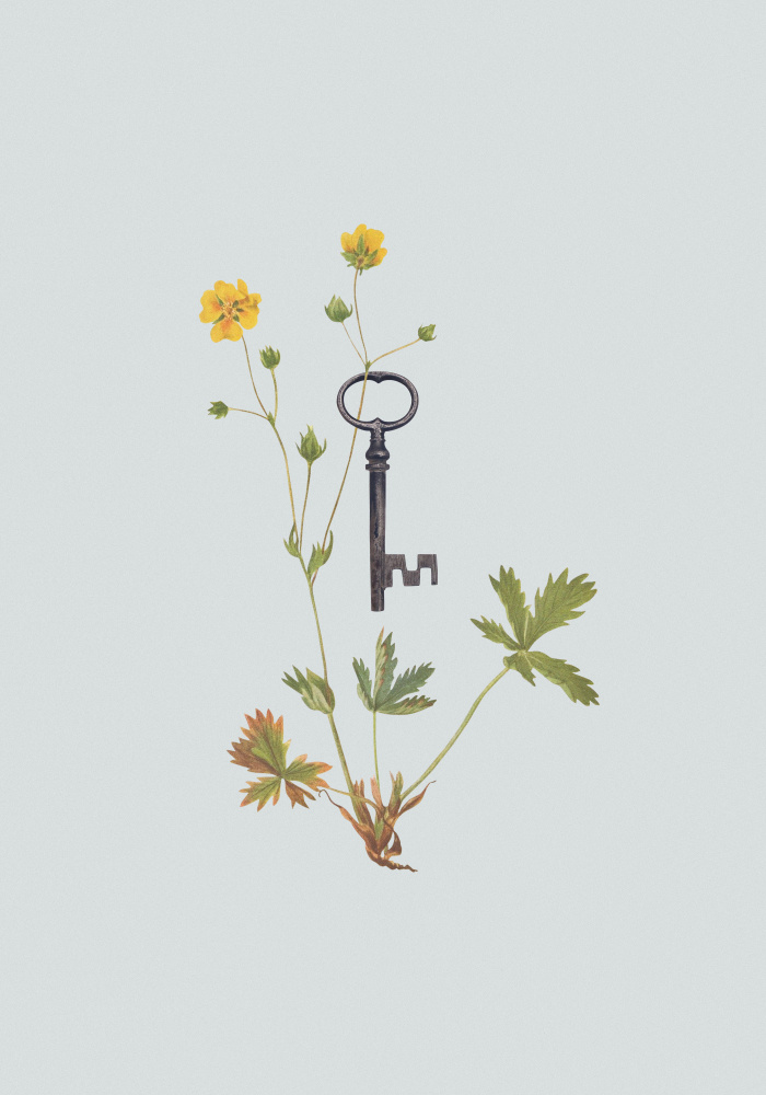 Botanical vintage key à Frida Floral Studio