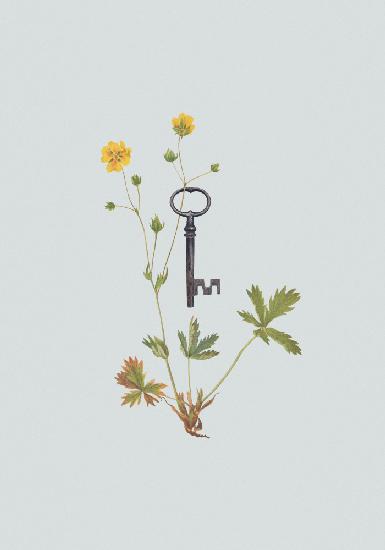 Botanical vintage key