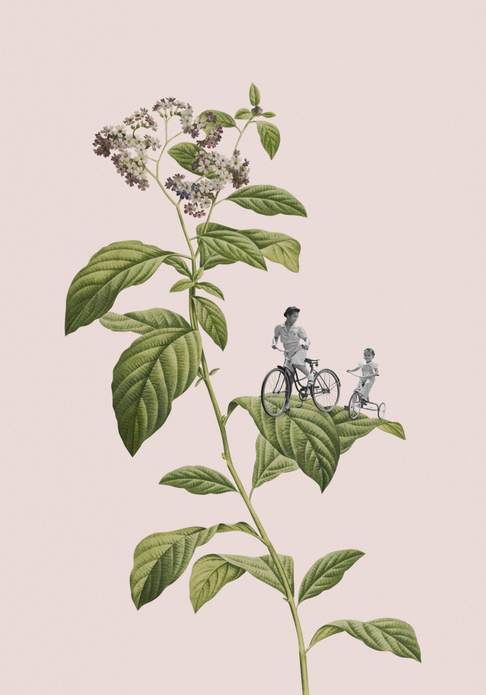 Botanical cycling à Frida Floral Studio