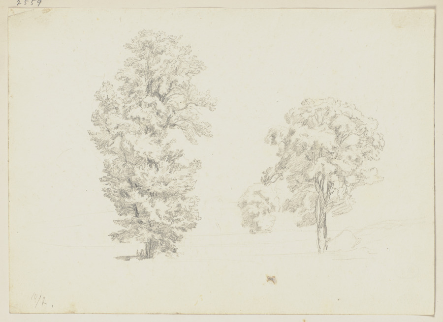 Trees à Friedrich Metz