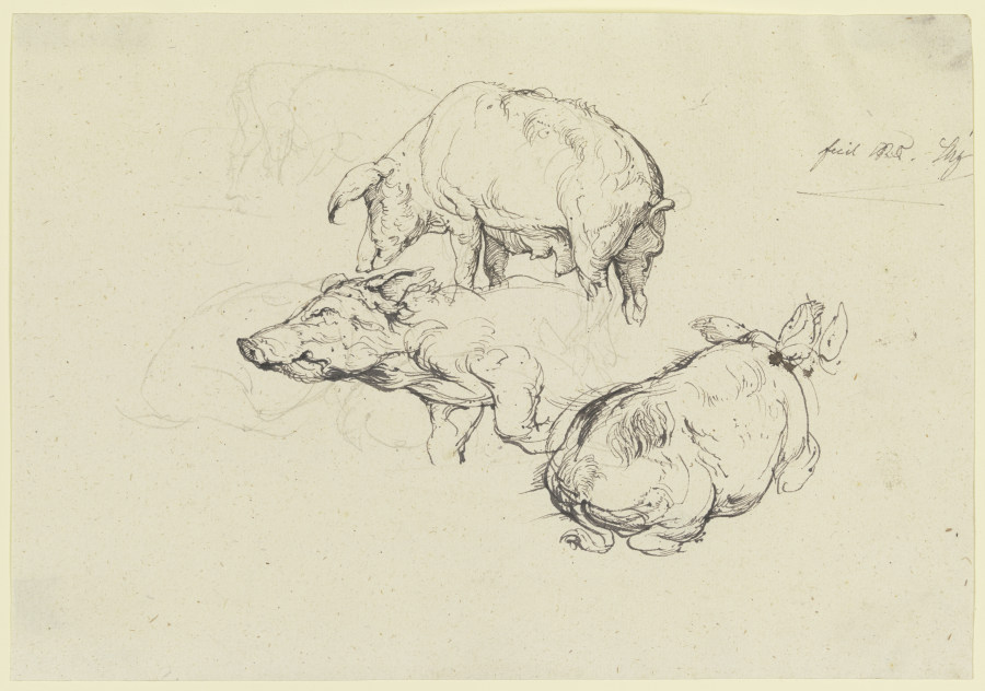 Three pigs à Friedrich Nerly