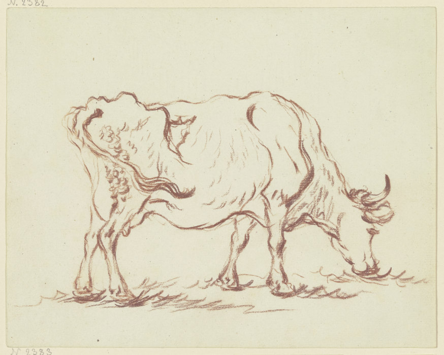 Grasende Kuh nach rechts à Friedrich Wilhelm Hirt