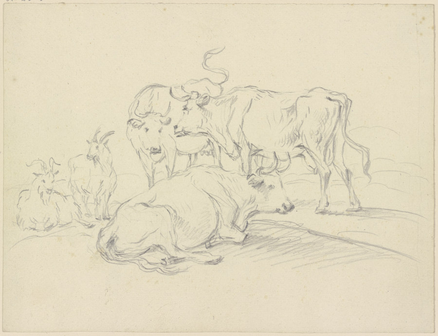 Cows and goats à Friedrich Wilhelm Hirt