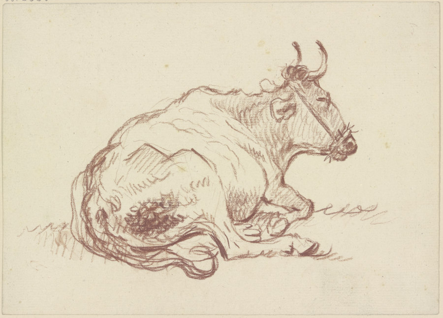 Liegende Kuh nach rechts à Friedrich Wilhelm Hirt
