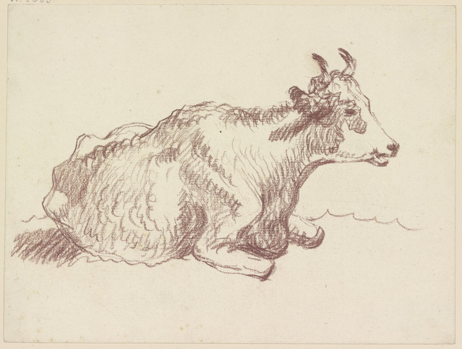 Lying cow à Friedrich Wilhelm Hirt