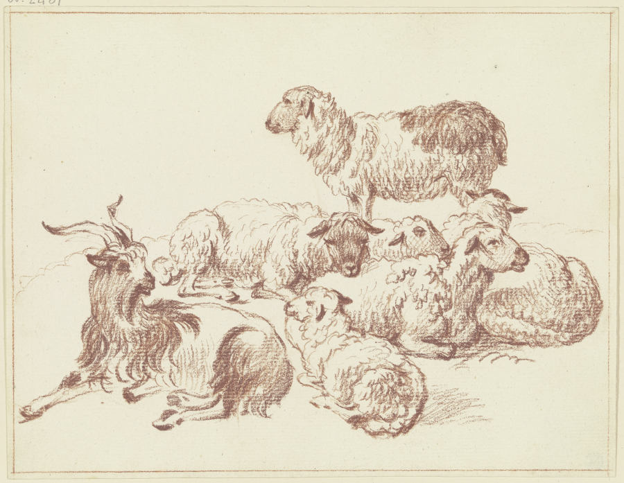 Schafe und ein Ziegenbock à Friedrich Wilhelm Hirt