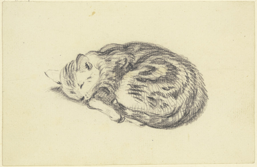 Sleeping cat à Friedrich Wilhelm Hirt