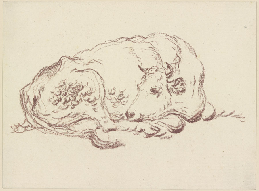 Sleeping cow à Friedrich Wilhelm Hirt