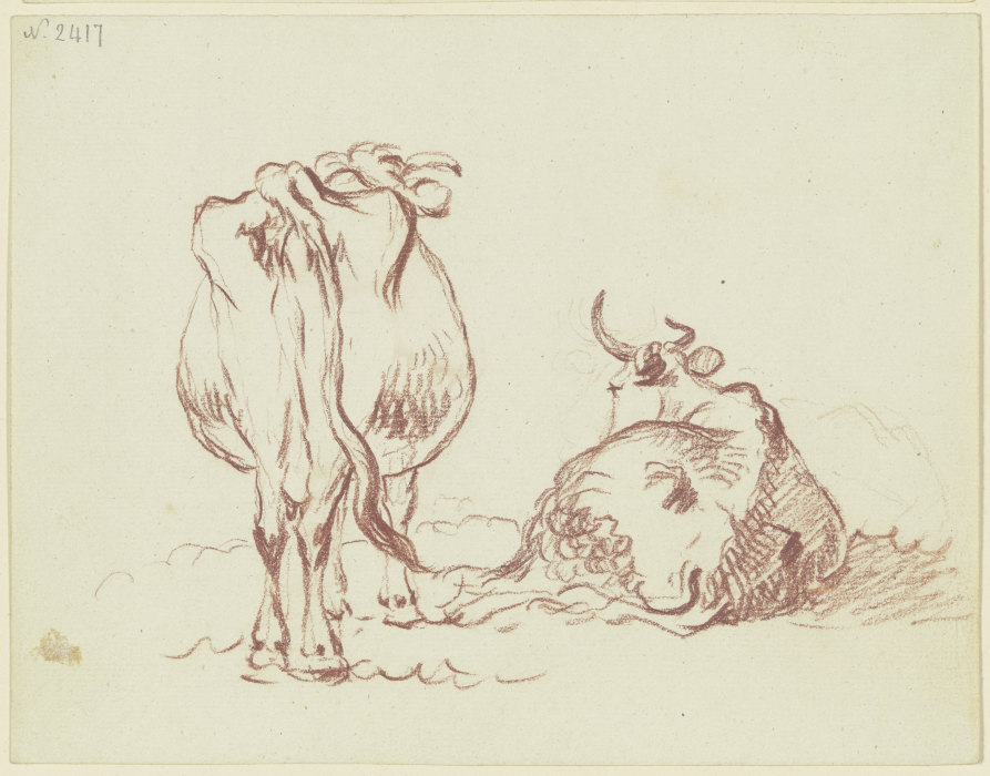 Zwei Rinder, eines stehend, eines liegend, beide rückansichtig, das liegende in starker Verkürzung à Friedrich Wilhelm Hirt