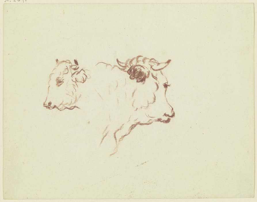 Two cattle heads à Friedrich Wilhelm Hirt