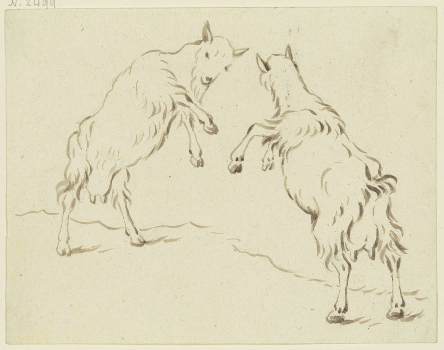 Zwei Ziegen, einander angreifend à Friedrich Wilhelm Hirt