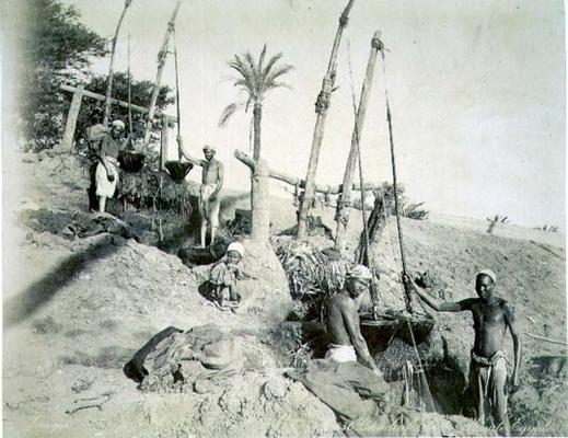 Shadufs in Upper Egypt (sepia photo) à G. Lekegian