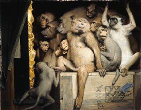 Singes en critiques d'art