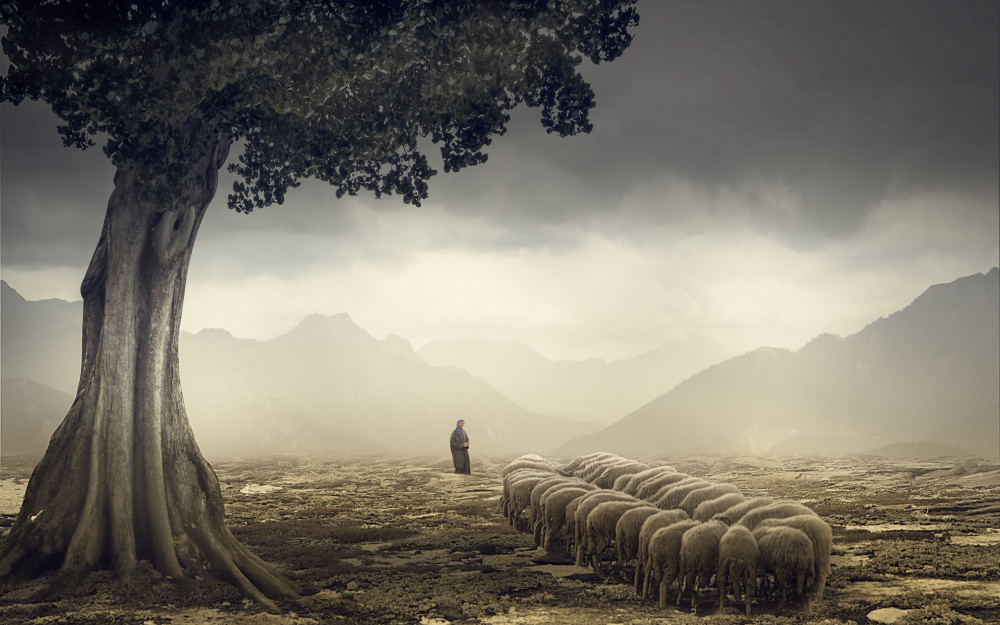 The Shepherd à Gabrielle Halperin