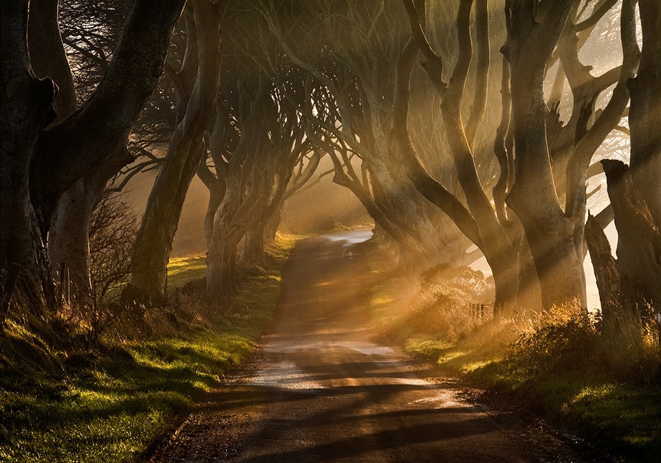 The Road Goes Ever On &amp; On à Gary McParland