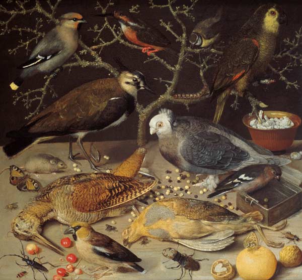 Still Life of Birds and Insects à Georg Flegel