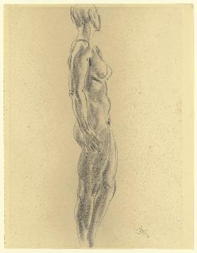 Standing female nude