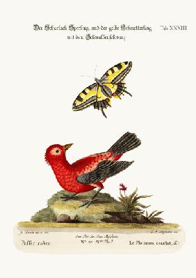 The Scarlet Sparrow and the Yellow Swallow-tailed Butterfly