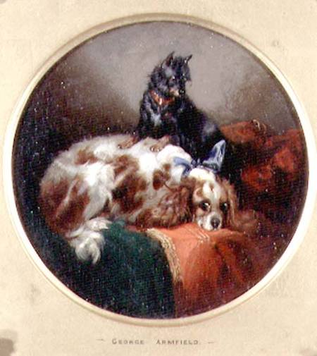 Blenheim Spaniel and Terrier à George Armfield