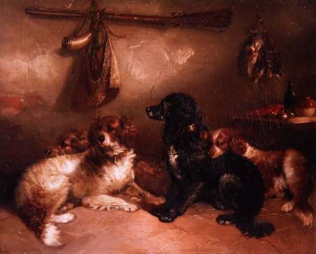 After the Shoot - A Quartet of Spaniels à George Armfield