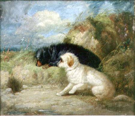 Terriers by a Rabbit Hole à George Armfield